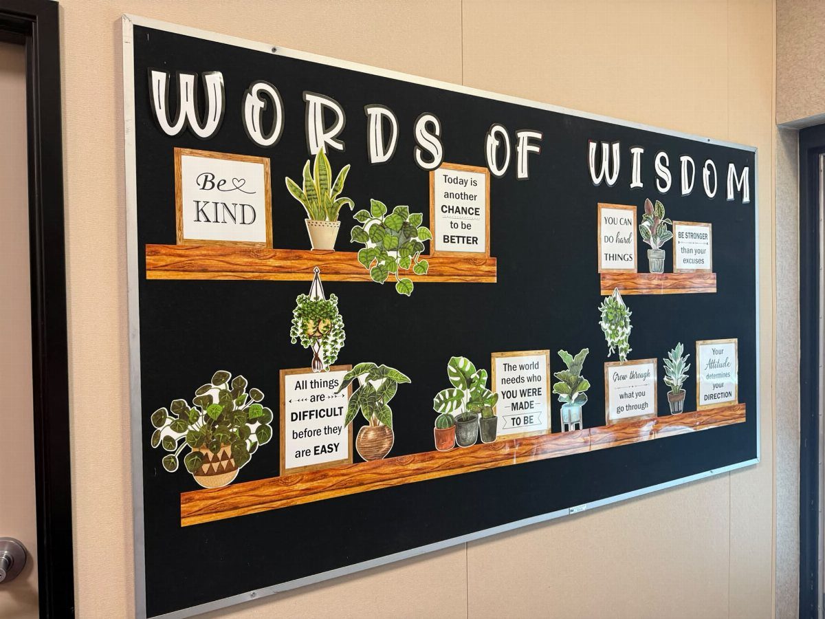 Black bulletin board with motivational quotes and potted plants on wooden shelves.