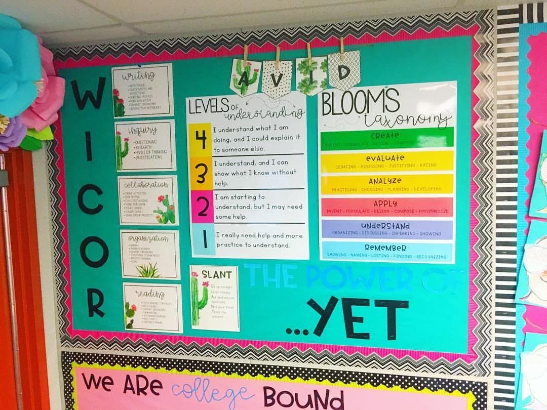 Turquoise classroom bulletin board featuring educational charts decorated with small green cactus illustrations.