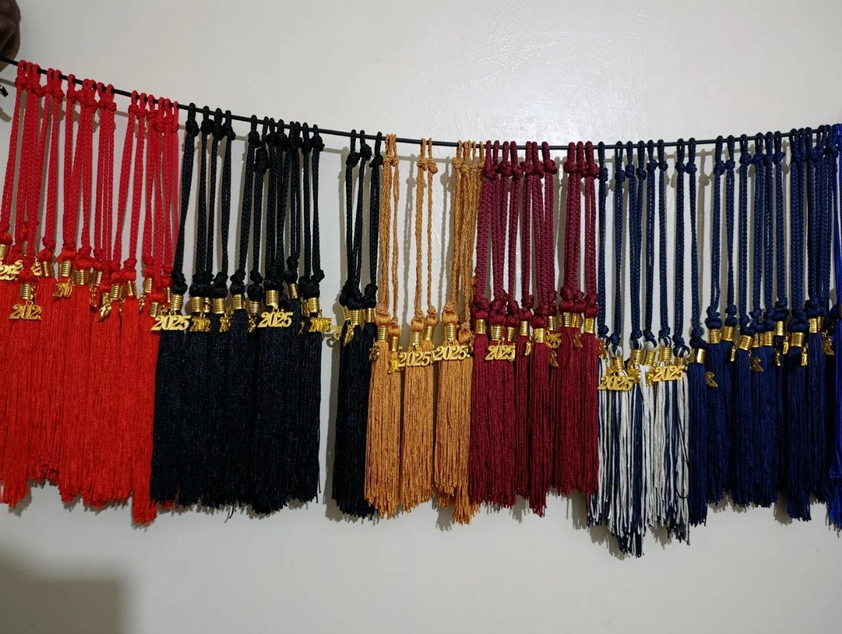 Graduation tassels in various colors hanging in a row with gold 2025 charms.