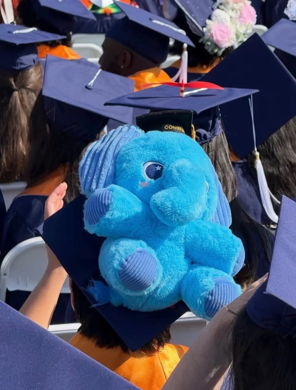 Blue plush elephant attached to a navy blue graduation cap at a ceremony