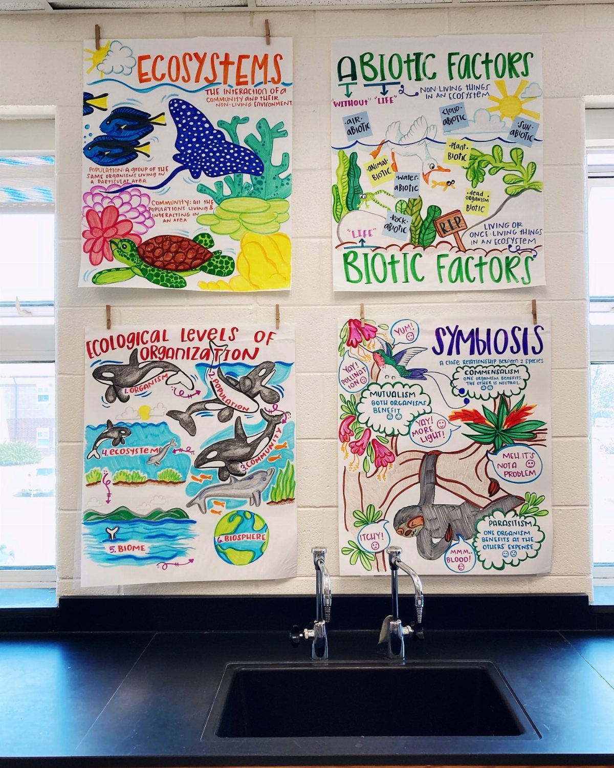 Four hand-drawn science anchor charts about ecosystems hanging on a white brick wall.