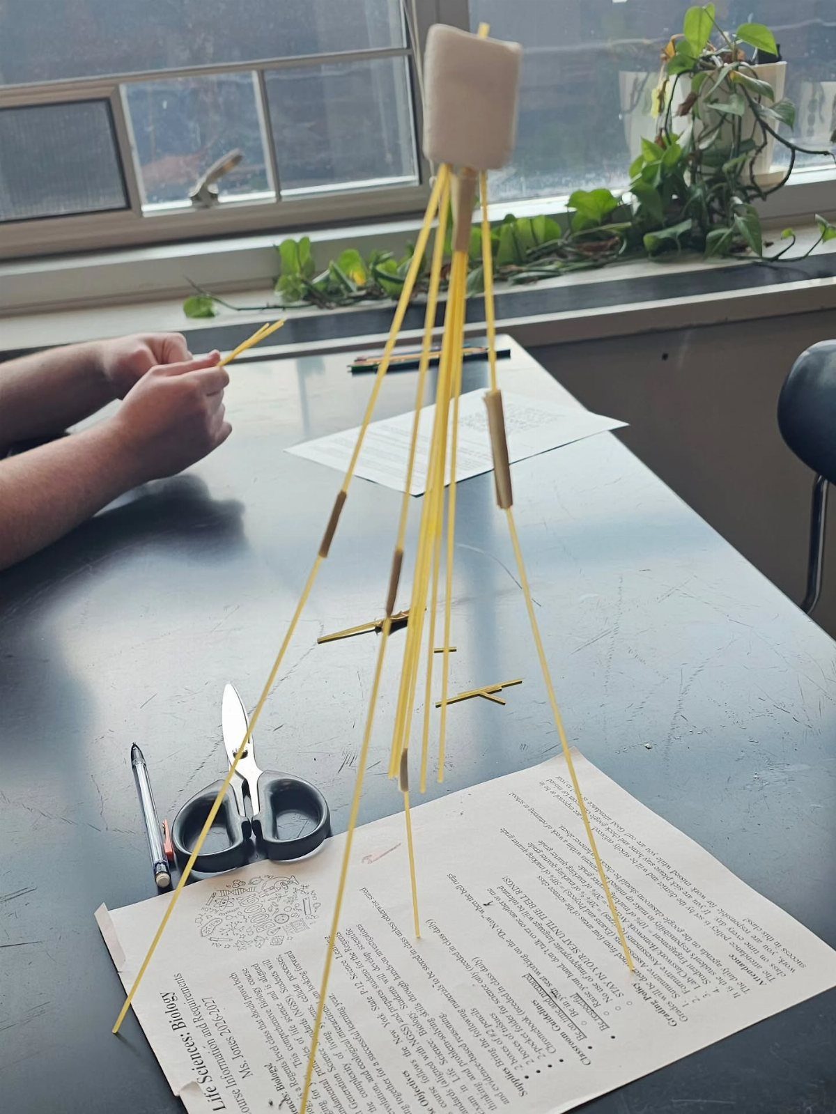 Spaghetti and marshmallow tower standing on a table next to scissors and instructions.