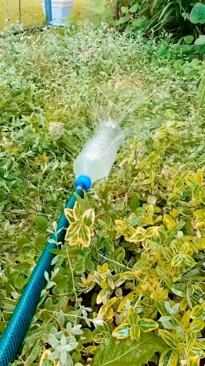 Plastic bottle sprinkler attached to a hose spraying water over garden plants